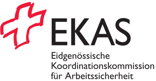 Logo EKAS
