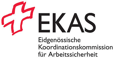 Logo EKAS